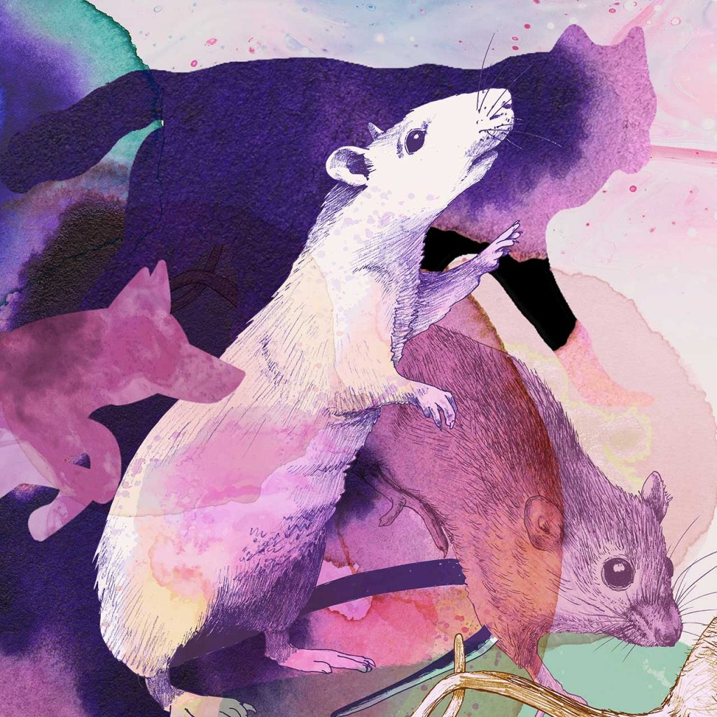 202111_T12BOA_#01Mouse_lo