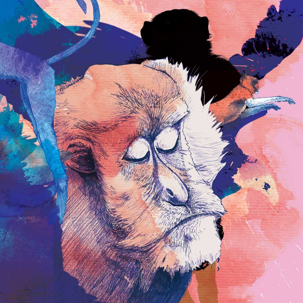 202111_T12BOA_#09Monkey_lo