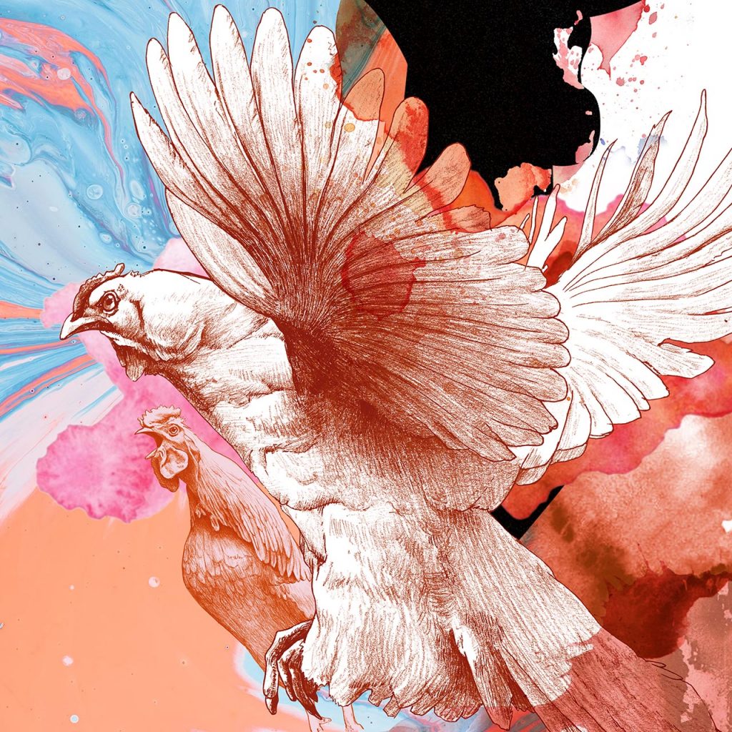 202111_T12BOA_#10Rooster_lo