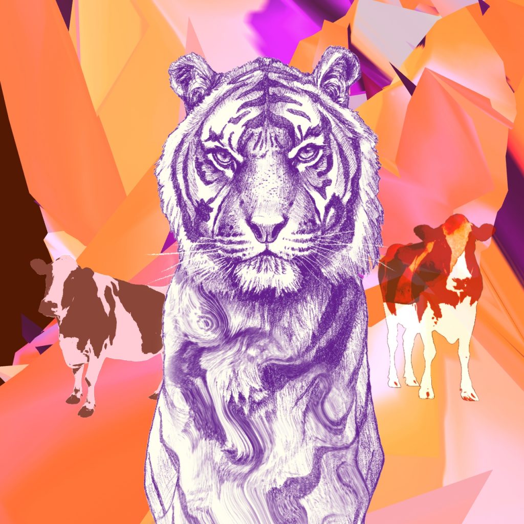 202112_T12BOA_#03Tiger_lo