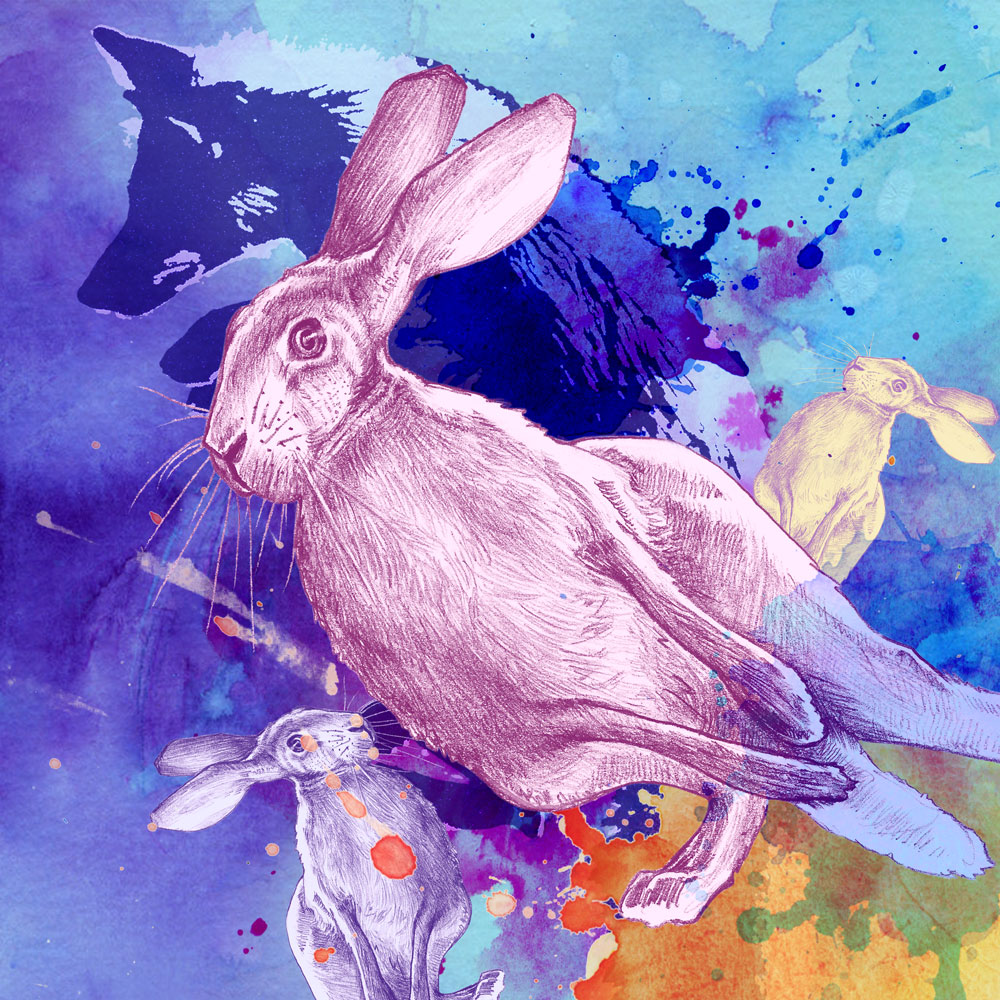 202112_T12BOA_#04Rabbit_lo