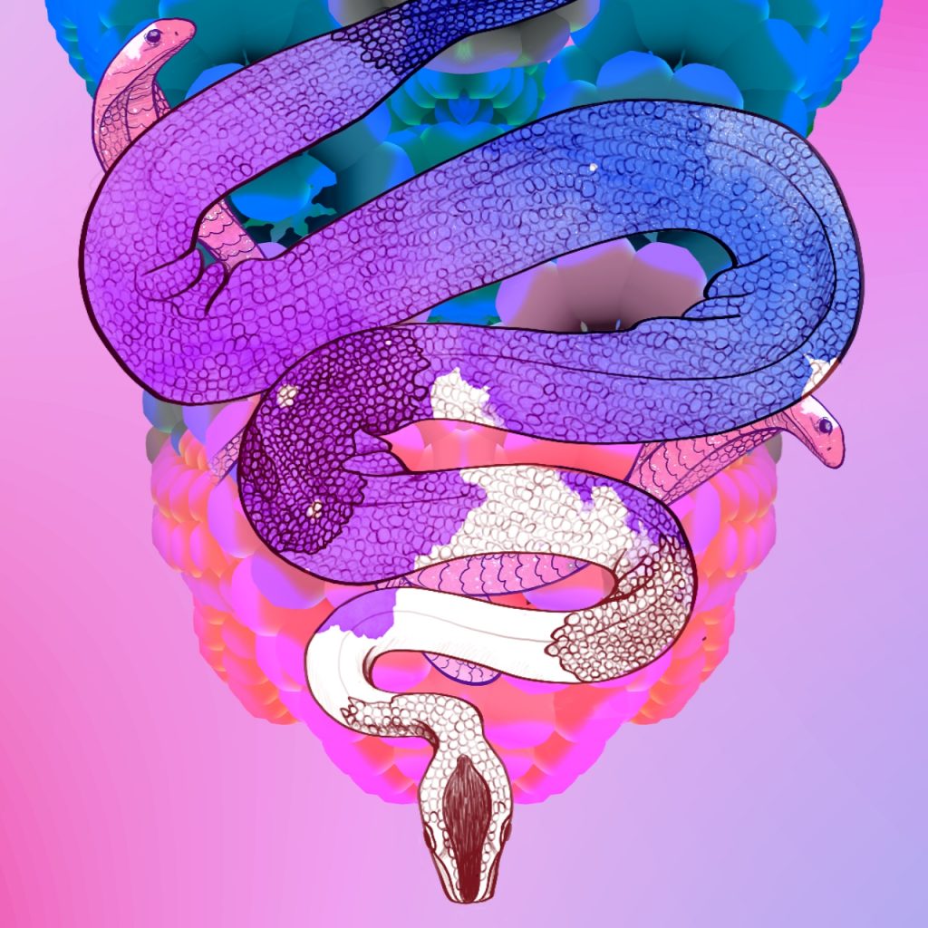 202201_T12BOA_#06Snake